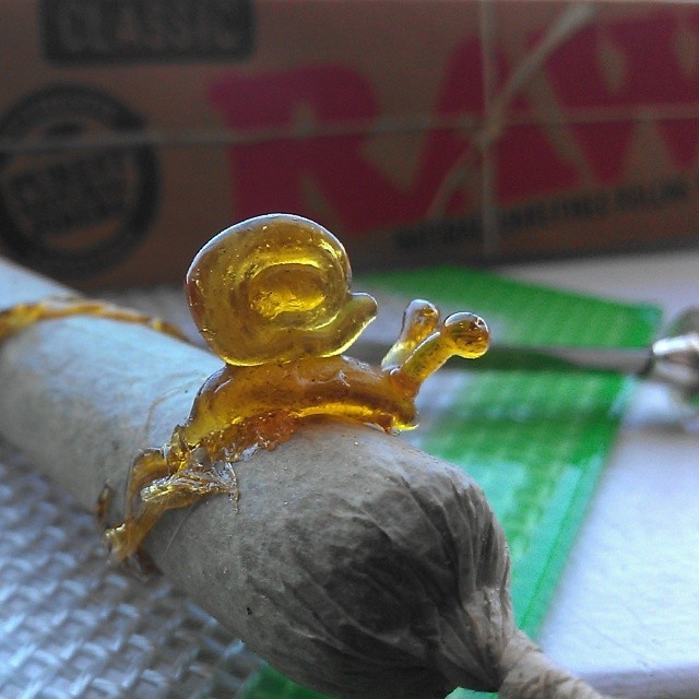 weedporndaily:  Gary helped me roll up a few Raws today by globcity http://ift.tt/1etGuXt