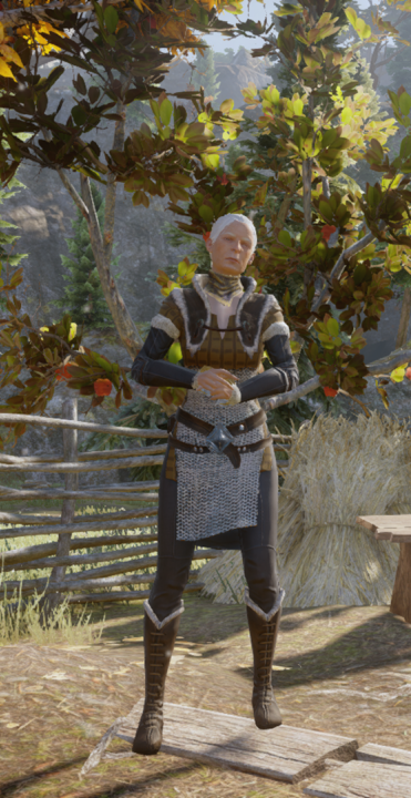 dragonagecostumes: The Dennet Family Dennet - Inquisition Horse Master Elaine - Wife Seanna - Daught