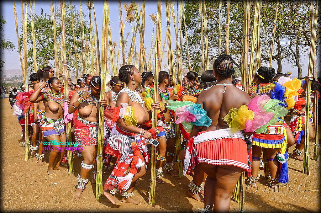   Reed Dance Ceremony 2015 in The Kingdom of Swaziland, by Willie C.