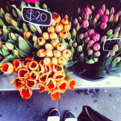 seewantshop:  Blooming brilliant #ilovesundays www.seewantshop.blogspot.com