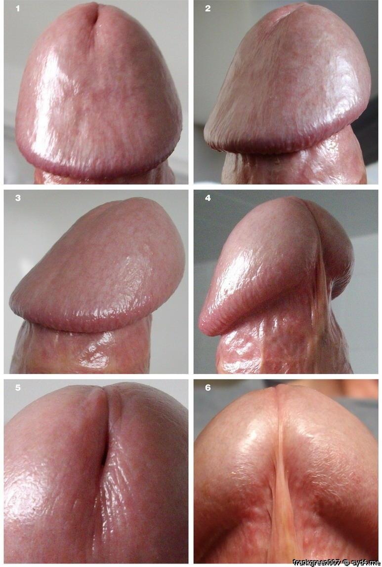 Force Me to Suck Cock
