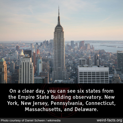 On a clear day, you can see six states from the Empire State Building observatory. New York, New Jer