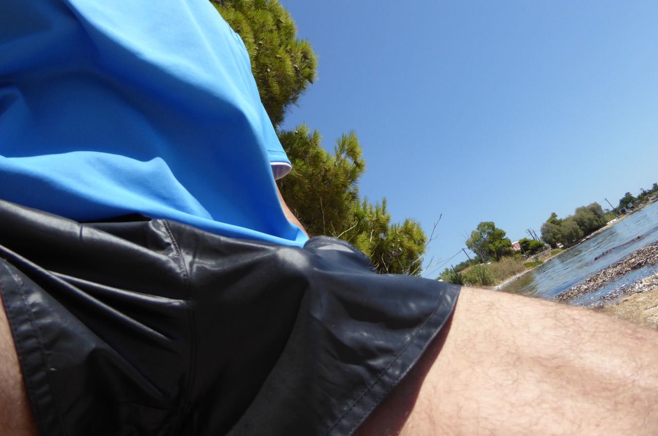 mrshorts:  ADIDAS CAL SURF SHINY GLANZ NYLON SHORTS I 
