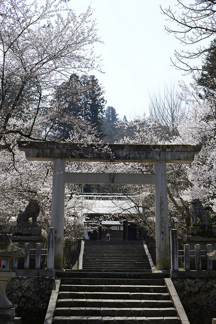 jpnys: 20140419 Takayama 7 by BONGURI on Flickr.