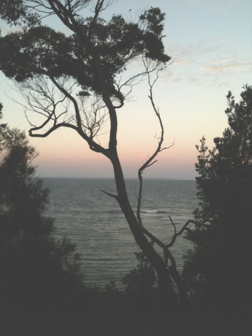 earth + water