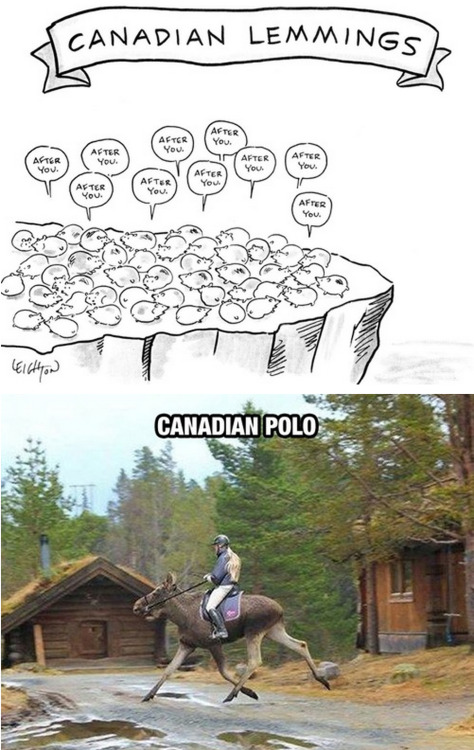 XXX tastefullyoffensive:  Only in Canada [imgur]Previously: photo