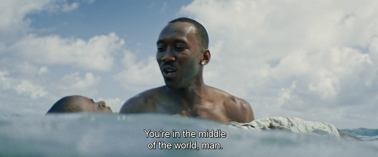 heavenhillgirl:Moonlight (2016), dir. Barry Jenkins