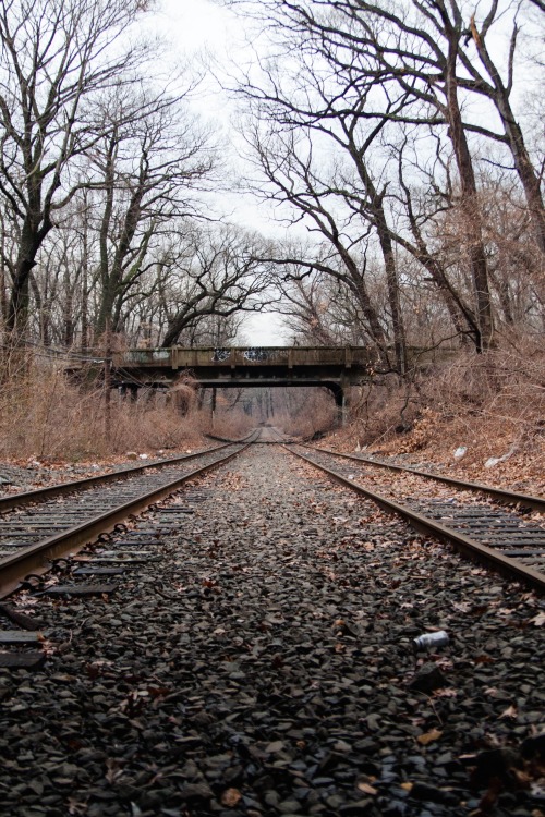 r2–d2:  Untitled 