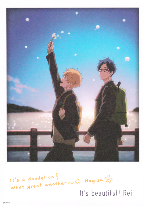 azumaryuuji:☆ free! road to the world polaroids! ☆ (trans cr. @tachibanasaaan and @a-lovelyday-to-fl