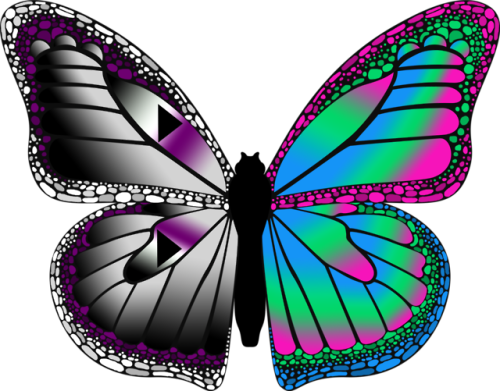 emilylaj:For Pride month, I’ve made some Demisexual/Other butterflies!Demisexual/Genderfluid, Demise