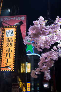 inefekt69:  Omoide Yokocho in Shinjuku - Tokyo, Japan  Instagram - @inefekt_japan  