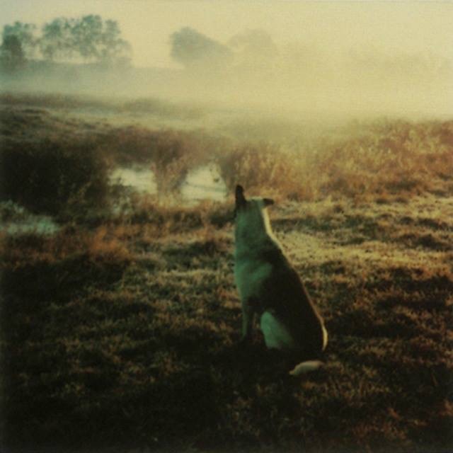 latenightpersonality:Photos by Andrei Tarkovsky: Polaroid, 1980 (from the book Instant