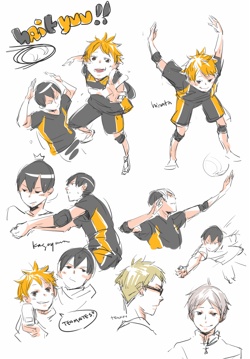 traversinglethe:  THEY ARE SO CUTE SCREAMS. I love volley!!! i love all the characters!!