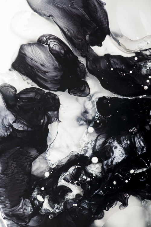 xaoss: The Petri Dish Project - Series 12, by J.D Doria, 2014