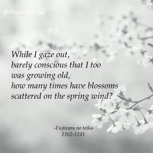 terracemuse:  on the spring wind
