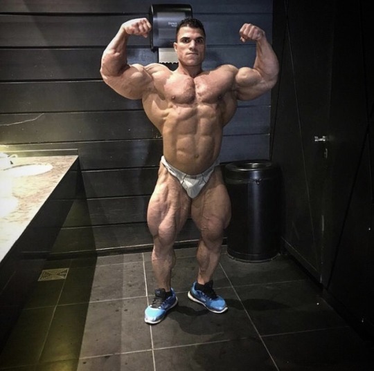 Hassan Mostafa 