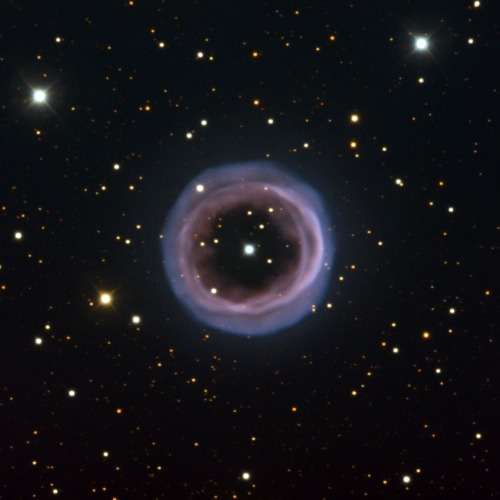 utcjonesobservatory:Smoky Rings in SpaceThe hazy and aptly named Fine Ring Nebula, shown here, is an