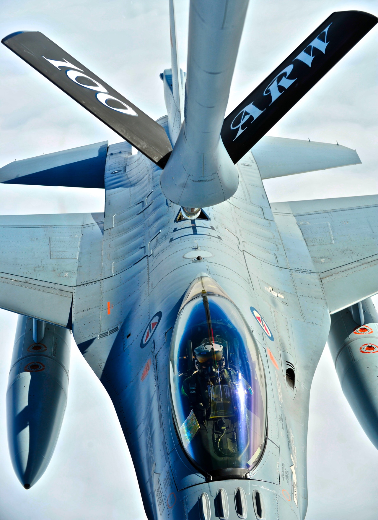 theworldairforce:  Falcon Watering Hole 