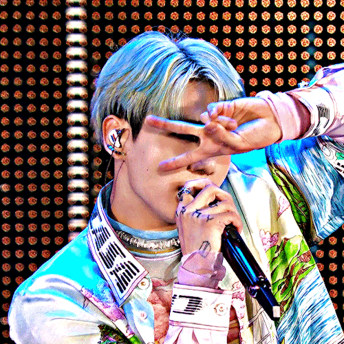 (119/) The Perfect Nose For Butterflies To Land On It