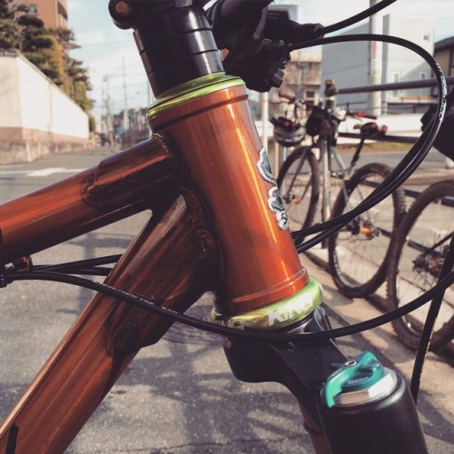 grumpy-bike:  Nice color way! #surlybikes #chriskingbuzz #karatemonkey (Grumpy)