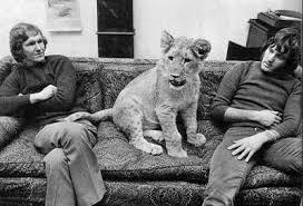 wolverxne:  "A Lion Called Christian" Christian was a lion originally purchased by Australians John Rendall and Anthony "Ace" Bourke from Harrods department store of London, England, in 1969 and ultimately reintroduced to the African wild