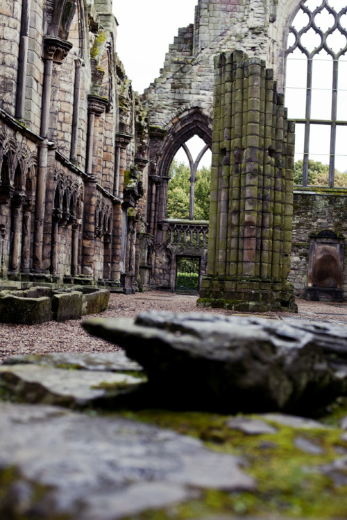 Eeerie and still, the bones of Holyrood Abbey, porn pictures