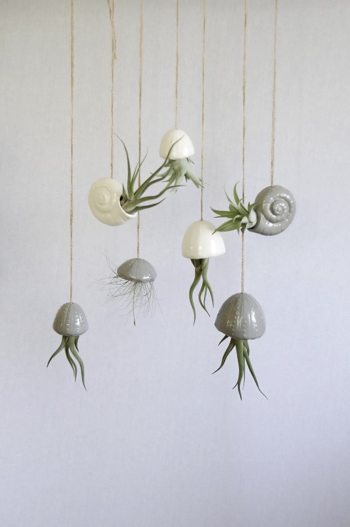 Hanging Decoration Air Planter Jellyfishby this Star Seller on Etsy :  Here 