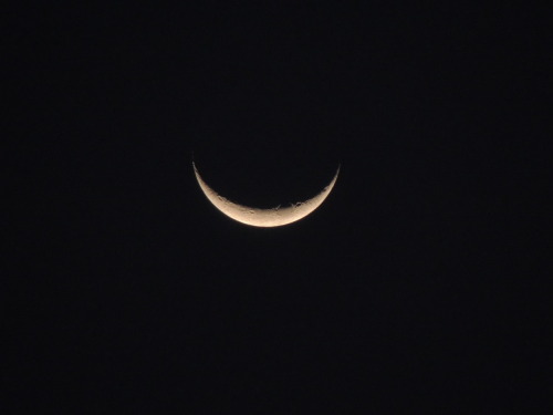 soften to strengthen embody that which the self cares to admire @1moon11rising1