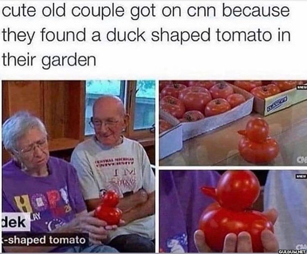 cute old couple got on cnn...