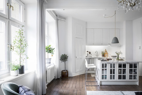 Classy White Single Apartment | Goteborg, SwedenLayout: (Source: alvhem.com)