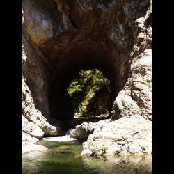 #holeinthewall #mendocino #redwoods #tanoakpark #leggett #hwy101  (at Leggett, California)