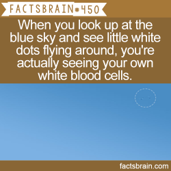 factsbrain:  When you look up at the blue