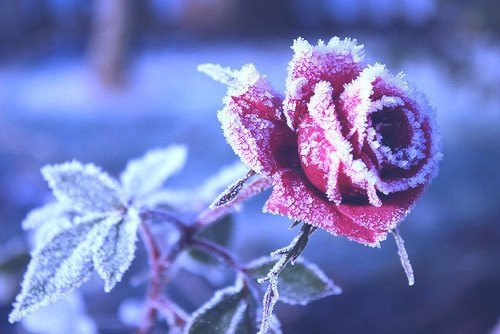 To Move On Is To Grow