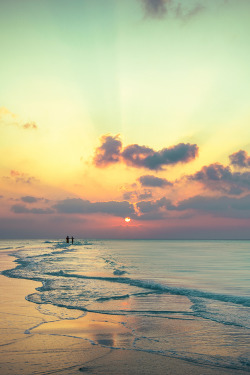 the-ocean-paradise:  pure ocean