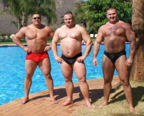 justbulls:  Speedo Bulls