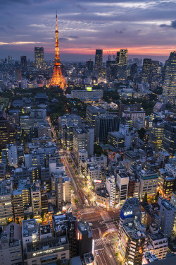ileftmyheartintokyo:  Twilight of Tokyo by mikemikecat on Flickr.