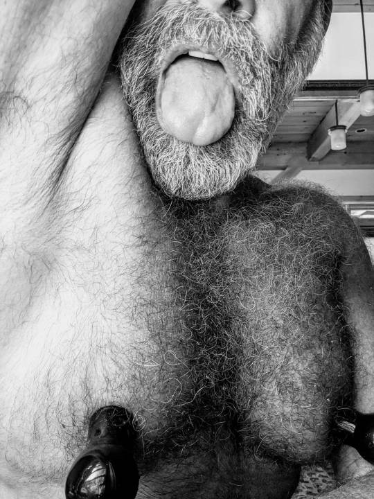 XXX juicedmaleboobsworld:HAM. HAIRY, HUGE NIPPED, photo