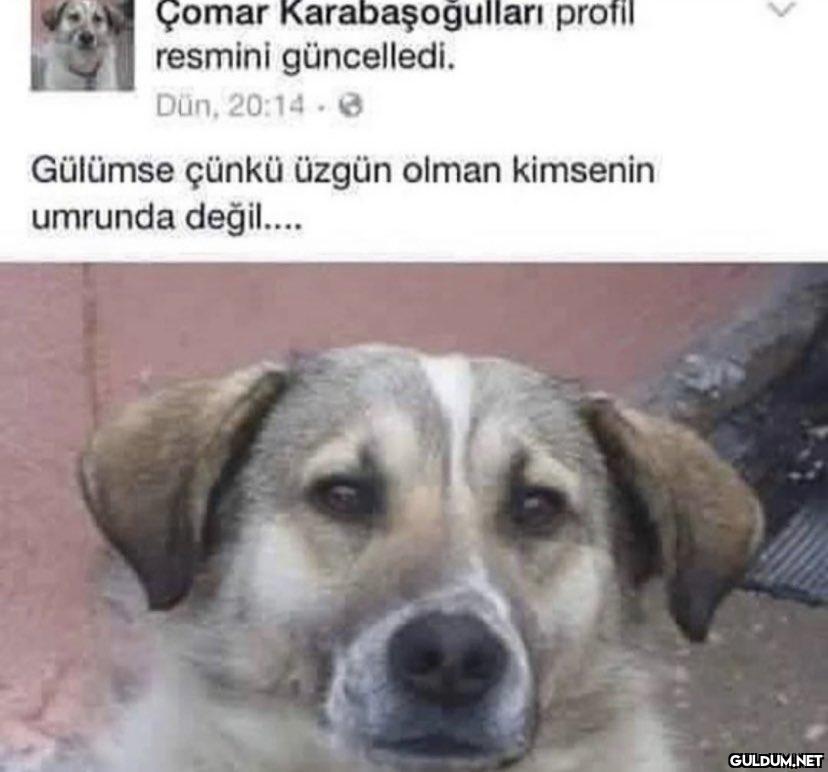 Günaydın...