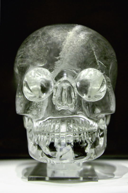 XXX Crystal Skulls & Ape-Man Bones: 6 Archaeological photo