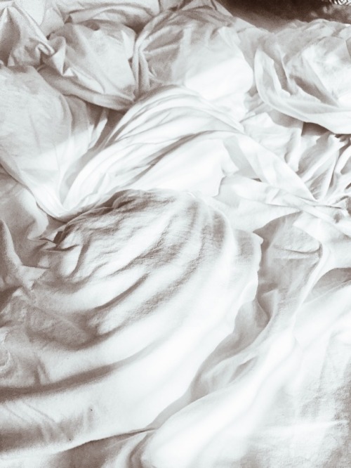 eaerth:there’s a softness in the light