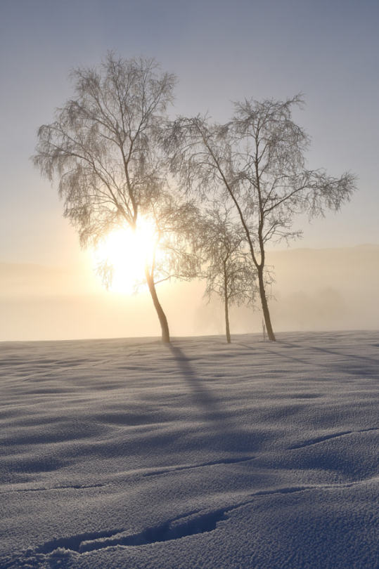 Sunrise by Renato Vettoretti #nature#landscape#winter#snow#sun