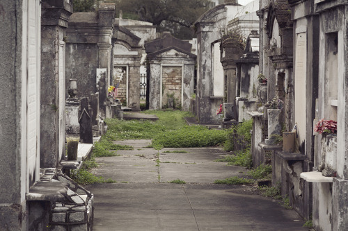 Lafayette Cemetery in New Orleans