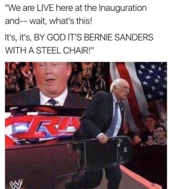 moonlandingwasfaked: this is how bernie can