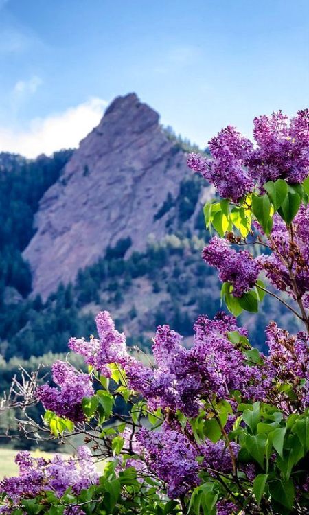 Chautauqua Park, Boulder, Colorado