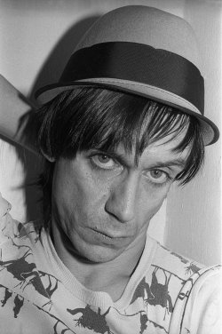 steroge:  Iggy Pop Photo by Marcia Resnick,