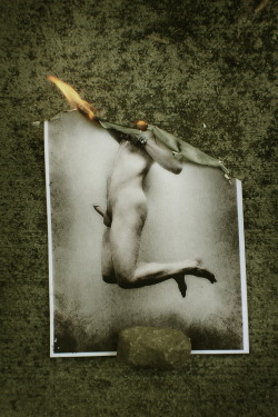 graeandresen:  burning image/print (self-portrait