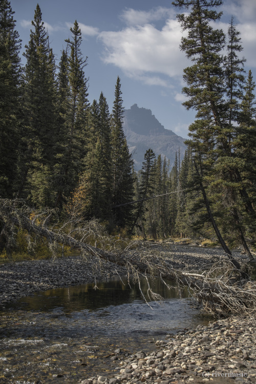 riverwindphotography