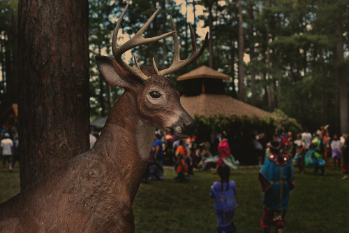 Keweenaw Bay Woodland Powwow.