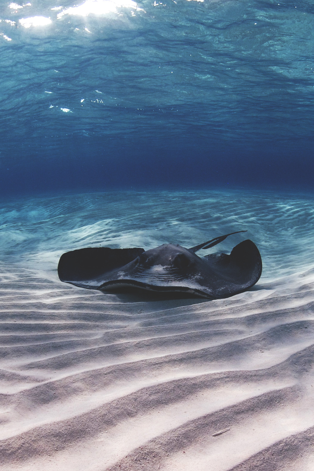 wavemotions:  Sleepy hollow…shallow…