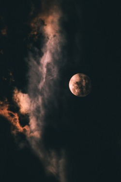 wolverxne:  Full Moon | by: { Aya Cabauatan }